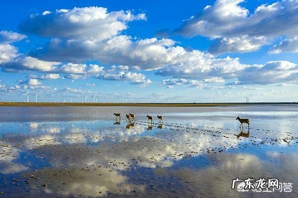 怎样提高对联的韵律平仄？