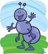 蚂蚁有多少颗牙齿