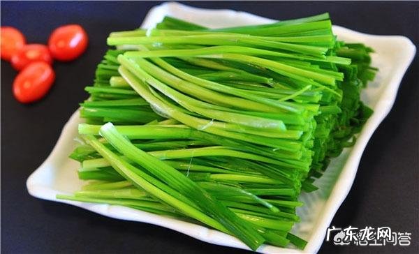 春天多吃哪些菜,可以养生?