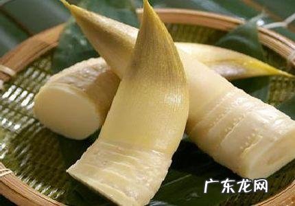 春天多吃哪些菜,可以养生?