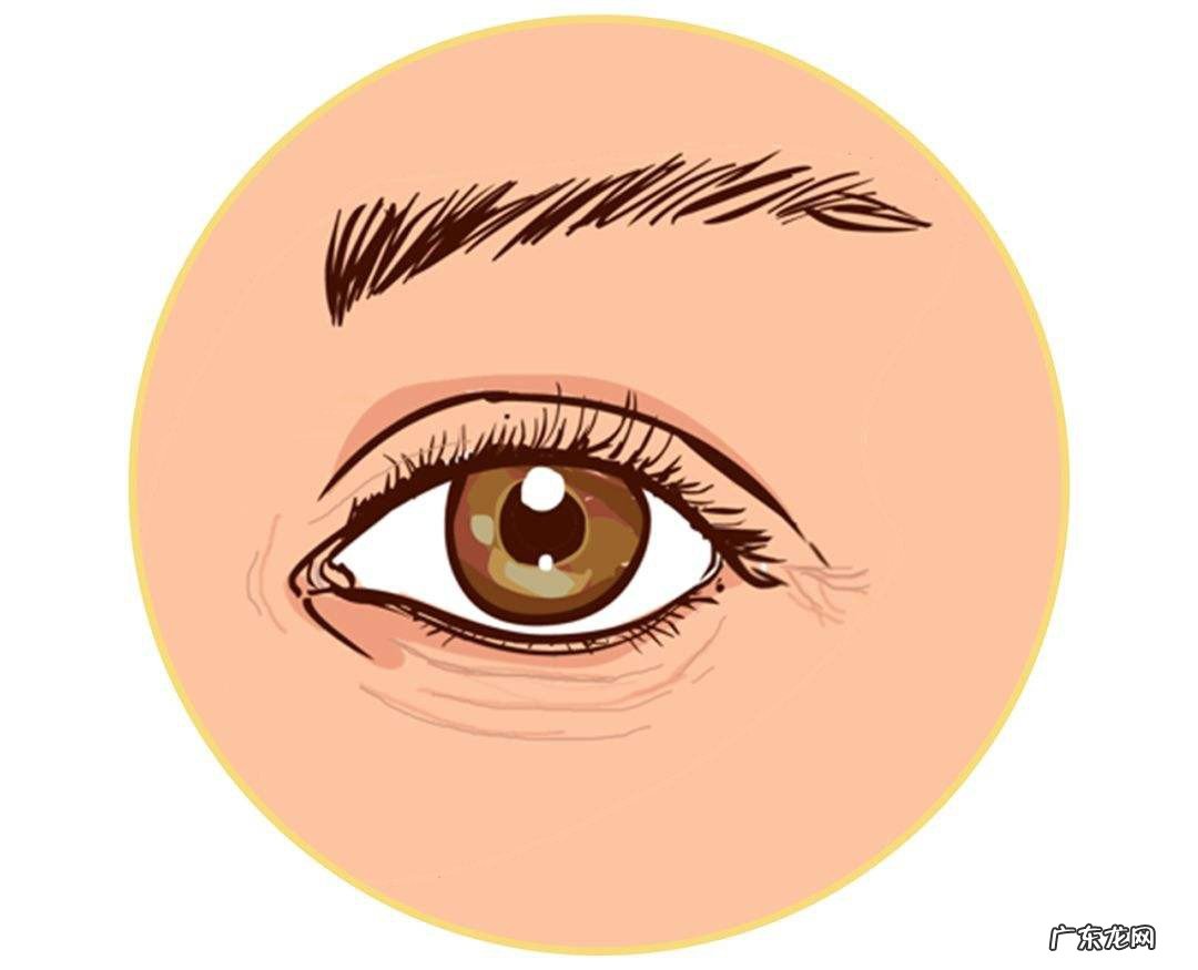 有黑眼圈吃什么好