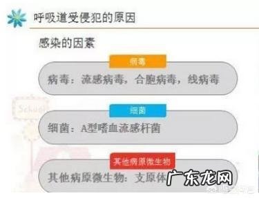 西医是怎么区分风寒感冒和风热感冒的?