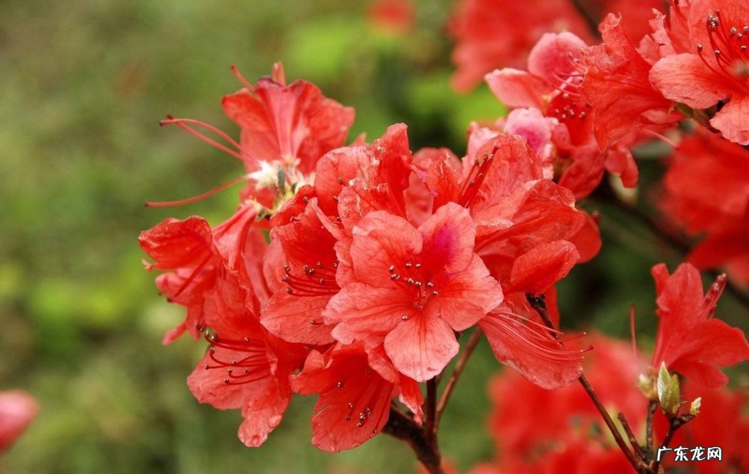 给兄弟的生日祝福语