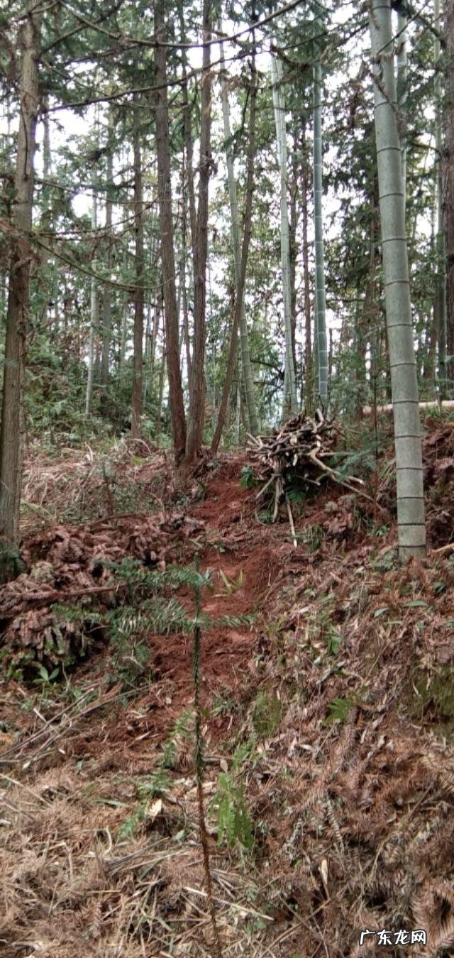 百姓关心的民生热点问题有哪些?你有什么样的建议?