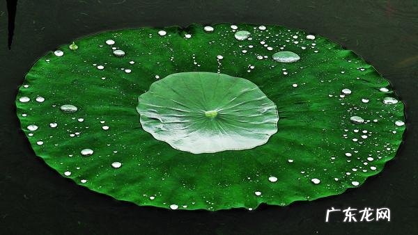 从风水角度看杭州纵火案和常熟纵火案的特点,避免住这样的房子吧! 着火过的房子风水