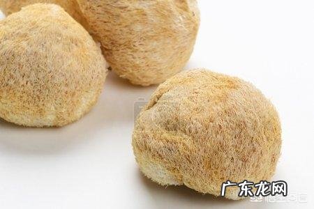 适合病人吃的清淡美食有哪些,求推荐?