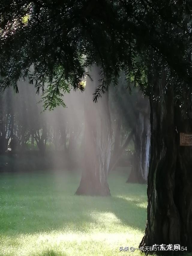 两个人没有多少话语了,男人离开了6年之久的情人,觉得可惜嘛?