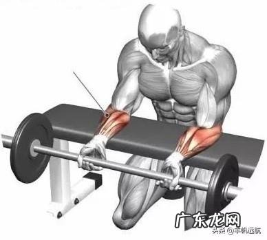 如何把手臂练粗壮，像美队那样？