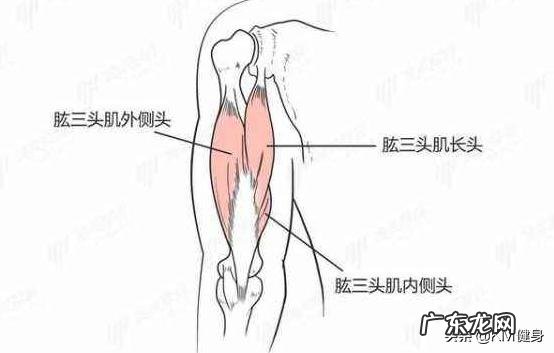 如何把手臂练粗壮,像美队那样?