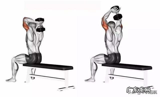 如何把手臂练粗壮，像美队那样？