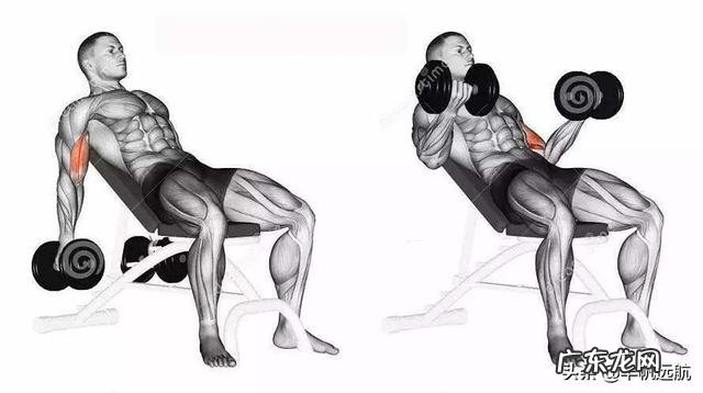 如何把手臂练粗壮，像美队那样？