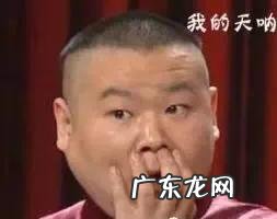 有哪些不作死就不会死的事情?