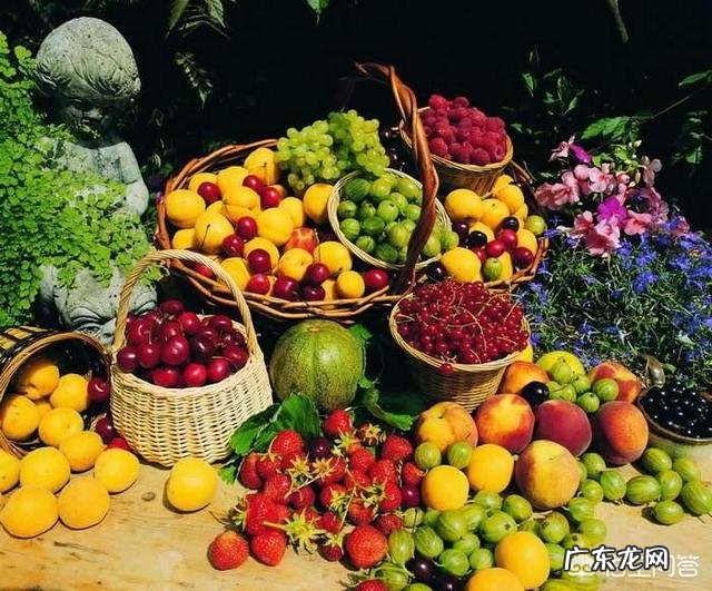 如何吃水果减肥?