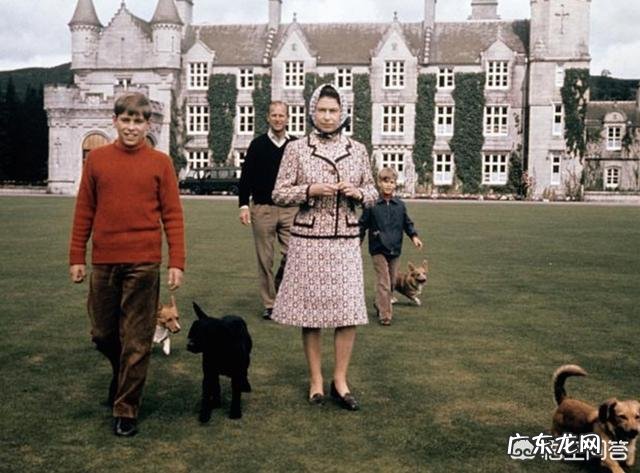 英国女王如果去世,会发生什么事?