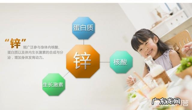 补锌吃什么好？