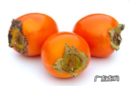 为什么吃完柿子不可以喝牛奶?