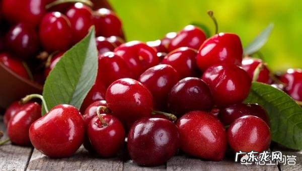 车厘子和樱桃有什么区别?是同一种水果吗?