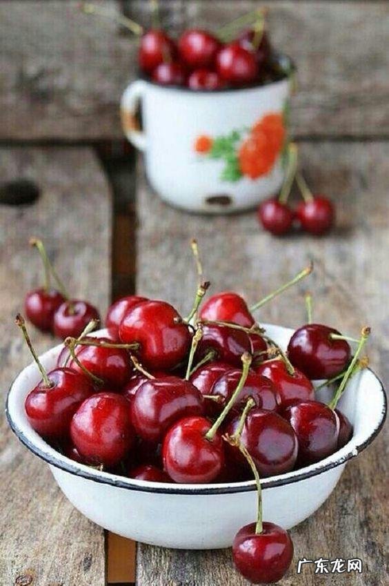 车厘子和樱桃有什么区别?是同一种水果吗?