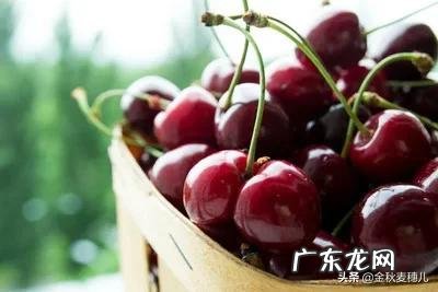 车厘子和樱桃有什么区别?是同一种水果吗?