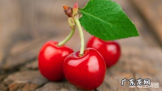 车厘子和樱桃有什么区别？是同一种水果吗？