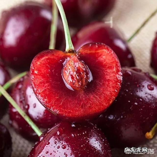 车厘子和樱桃有什么区别?是同一种水果吗?