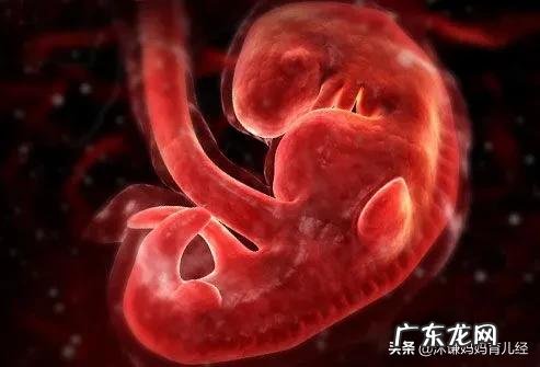 停胎有什么症状?停胎多久能发现?