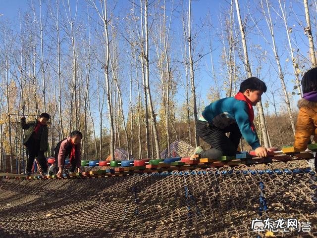 在辅导班关停的情况下，几个家长联合起来给学生辅导作业可以吗？