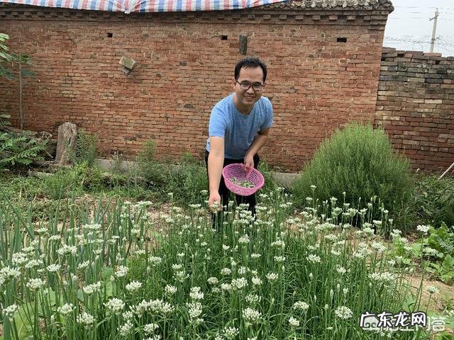 腌制韭菜花怎么做不变色?