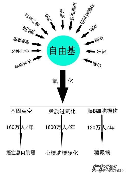护肤品真的能延缓皮肤衰老吗?