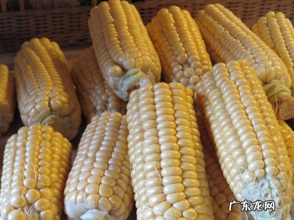 炒黑木耳时加一宝,白发少皮肤好,肾气满满,腰不疼了,更显年轻 黑木耳有三宝