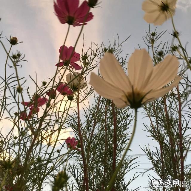 脐带血值不值得存?你怎么看?