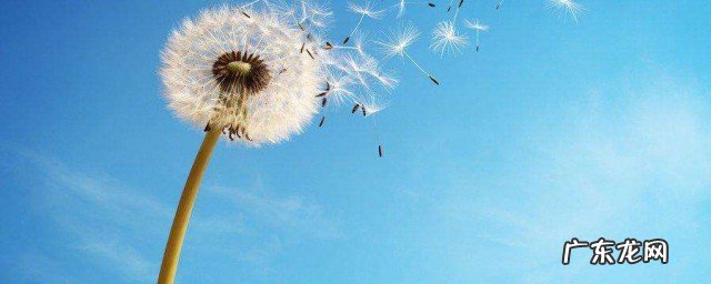 九月适合发的句子