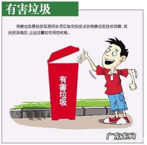 垃圾分类究竟是怎么回事?