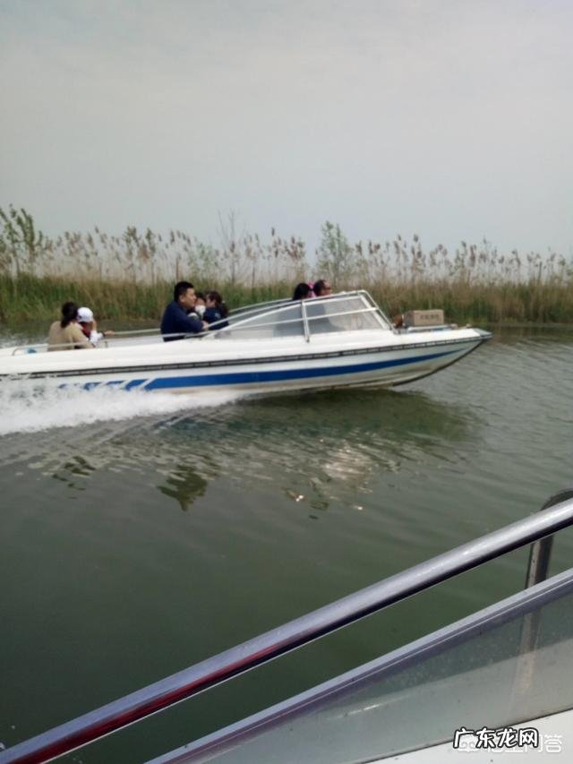 快七夕了,有哪些关于七夕的现代诗词?