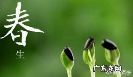 在春天,吃什么最养生?