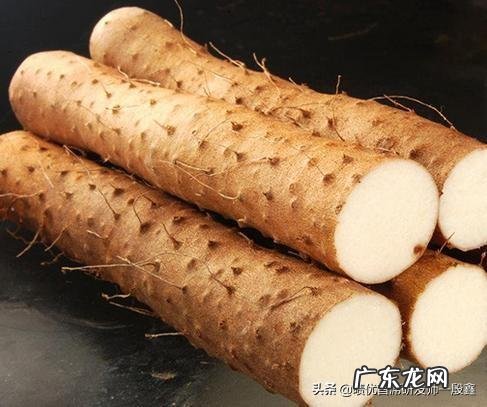 树上的柿子和什么不能一块吃?