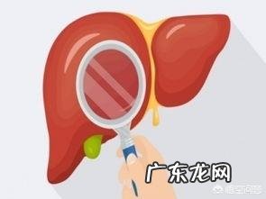 肝不好,有什么异常表现?如何保护肝脏健康?