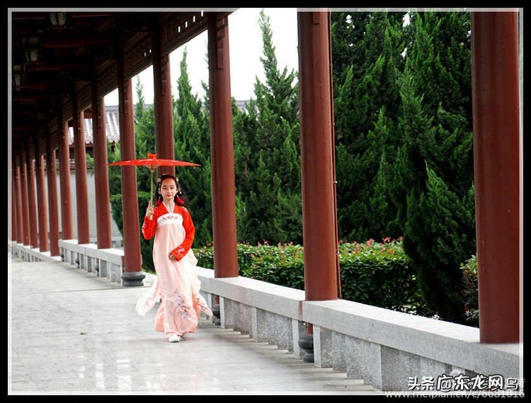 你读过的书都会换成你内在的,永不消失的美丽 花蕾是你的年华是什么意思