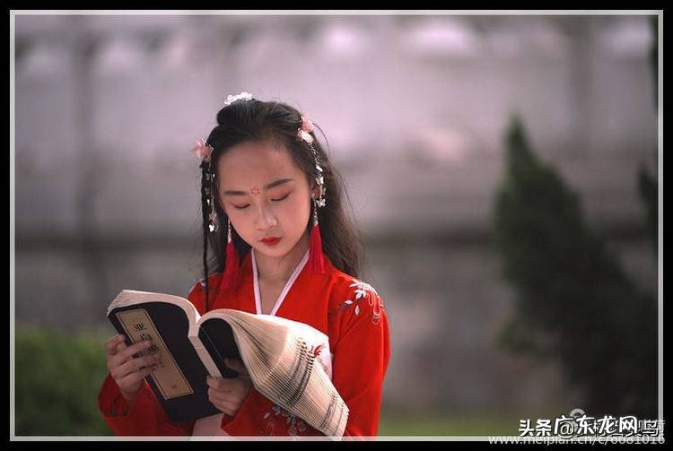 你读过的书都会换成你内在的,永不消失的美丽 花蕾是你的年华是什么意思