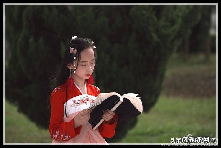 你读过的书都会换成你内在的,永不消失的美丽 花蕾是你的年华是什么意思