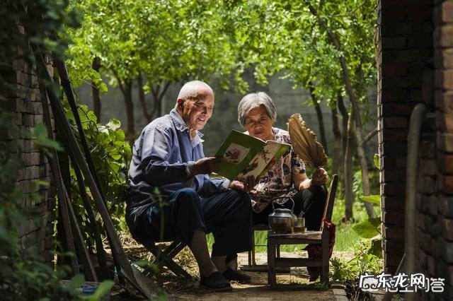 爱情的概念和定义是什么？