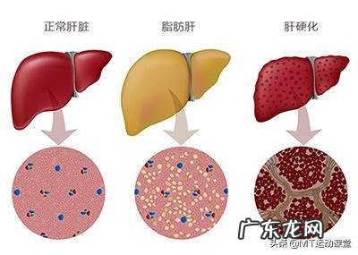 经常喝啤酒好吗？