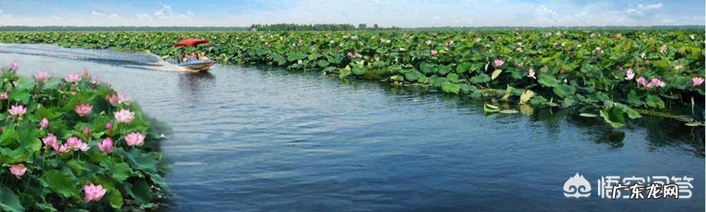 江苏盱眙和湖北潜江，到底哪个地方才是中国小龙虾之都？