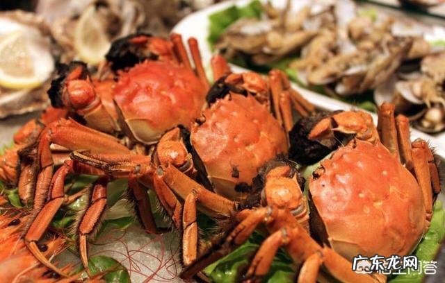 晚餐吃了六只螃蟹,肚子还是饿是为什么?