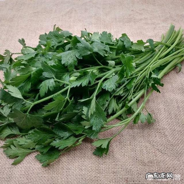 香菜和芹菜的功效一样吗?对身体健康有什么影响?
