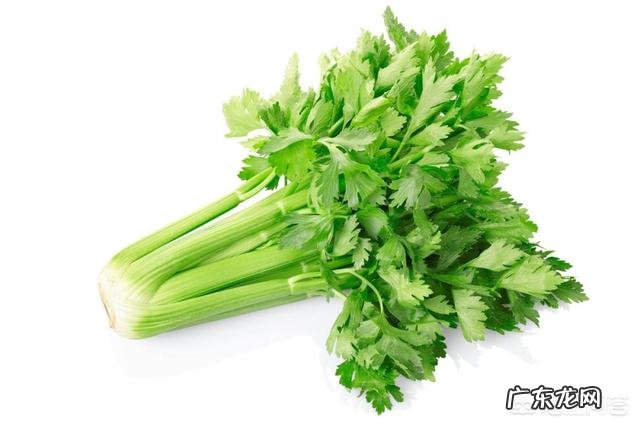 香菜和芹菜的功效一样吗?对身体健康有什么影响?