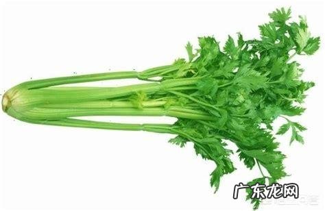 你在喝醉之后是怎么醒酒的?