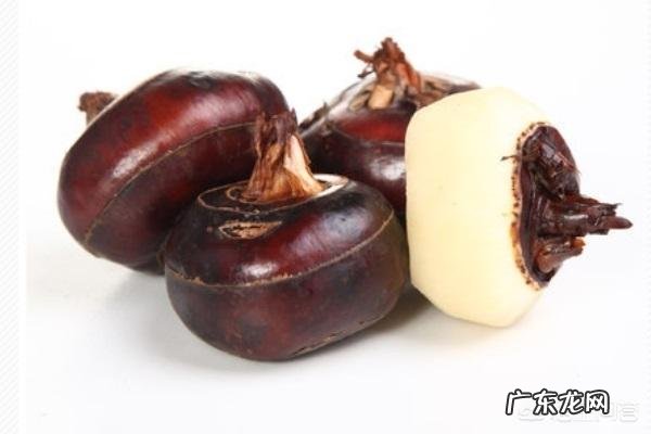 你在喝醉之后是怎么醒酒的?