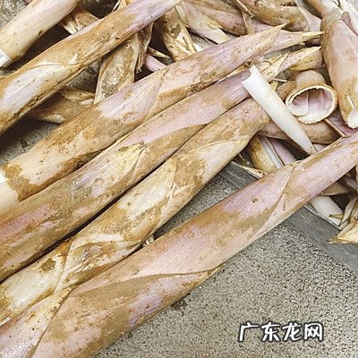 西施豆腐 西施豆腐是哪里的菜系