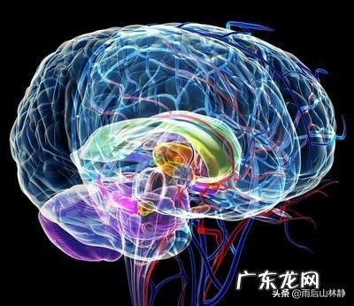 男孩跟女孩应不应该区别教育?为什么?